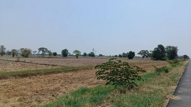 ขายที่ดิน 11 ไร่ 2 งาน 39 ตารางวา เจ้าของขายเอง ลด 50,000 ถ้าโอนภายใน มีค. 69 จังหวัดสุรินทร์ที่ตั้ง : 2081 ตำบลยะวึก อำเภอชุมพลบุรี จังหวัดสุรินทร์ 32190https://maps.app.goo.gl/hQ2QEvZDroiT5fcr7?g_st=alขนาดที่ดิน : 11 ไร่ 2 งาน 39 ตารางวารายละเอียดขาย 10 ไร่ หรือแล้วแต่ตกลงขายด่วน ที่ดินสวยใกล้สนามบินบุรีรัมย์ หน้ากว้างติดถนนหลวง อำเภอชุมพลบุรี จังหวัดสุรินทร์สถานที่ใกล้เคียง - ห่างจากสนามบินบุรีรัมย์  26 กม.รา�