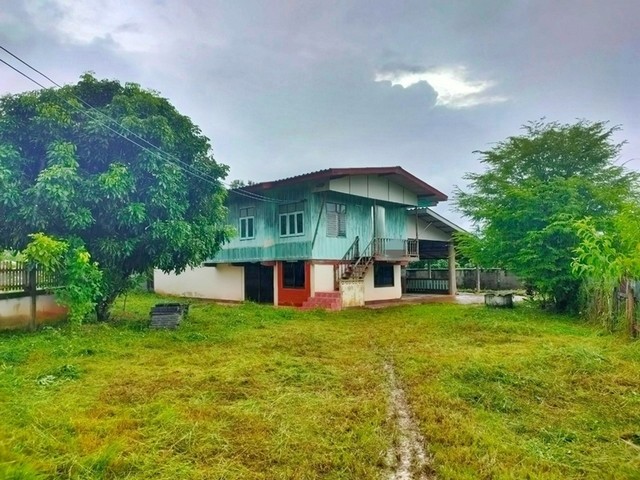 ขายบ้านครึ่งตึกครึ่งไม้  ถนนสายบ้านสันผักฮี้-บ้านป่าเหียง  อำเภอพาน  เชียงราย