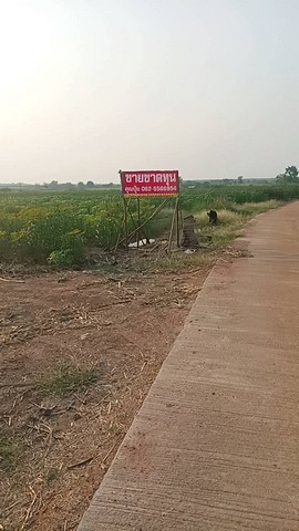 ขาย 3.29 ล้านบาท*บ้านชั้นเดียว พร้อมที่ดินบ้านเชียงใหม่วิวดอย ต.บ้านแหวน อ.หางดงบ้านเดี่ยวบรรยากาศสงบ ในโครงการน้ำไม่ท่วม | วิวภูเขา | ใกล้โรงเรียนนานาชาติ .บ้านเดิม เหมาะแก่การลงทุนหรือ ลูกค้าที่ต้องการซื้อเพื่ออยู่อาศัย และตกแต่งเอง ราคาเพียง 3,290,000 บาท.• 3 ห้องนอน | 1 ห้องน้ำ• ครัวไทยแยก• จอดรถได้ 1 คันพื้นที่ใช้สอย 120 ตร.ม. ขนาดที่ดิน 135 ตร.ว..ใกล้สิ่งอำนวยความสะดวก�