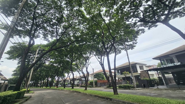 ขายด่วน บ้านเดี่ยว มัณฑนา รามอินทรา วงแหวน หลังริม ลด 2 ล้านติดต่อ 061-624-7988..ขายบ้านเดี่ยว ติดถนนใหญ่ ใกล้ห้างแฟชั่น ไอส์แลนด์ แค่ 5 นาทีขนาด 88 ตารางวา หลังริม ใกล้สวนส่วนกลางของหมู่บ้าน ที่มีทั้ง สระว่ายน้ำ ฟิตเนส สวนหย่อมรอบบึงน้ำขนาดใหญ่สุดชิล .ภายในบ้านมีการต่อเติมโรงรถเต็มพื้นที่ ทำให้จอดรถได้มากถึง 4-5 คันตัวบ้านมี 3 ห้องนอน 3 ห้องน้ำ มีต่อเติมห้องเอนกประสง�