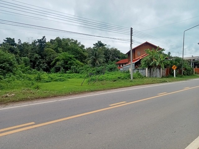 ขายที่ดินพร้อมสิ่งปลูกสร้าง บ้านพักอาศัยตึกชั้นเดียว อำเภอหล่มสัก จังหวัดเพชรบูรณ์