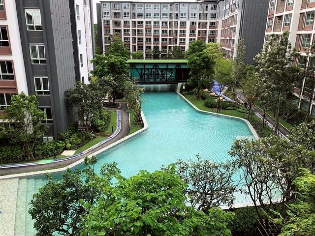 ให้เช่า 28,000 บาท/เดือน 2 นอน 2 น้ำ #Dcondo #Ping #วิวสระว่ายน้ำ บรรยากาศผ่อนคลาย ตรงข้าม #CentralFestival พร้อมเข้าอยู่