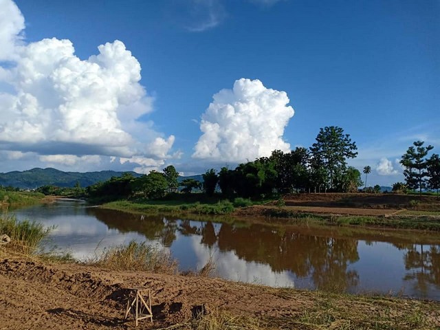 ขายที่ดินติดแม่น้ำน่าน  1 ไร่ 5 ตร.วา มีที่งอก 3งาน ทำประโยชน์ได้ตาม ป.วิ.พ. มาตรา 1308 เช่ารวม  3000 บาท/ปี ขาย 800,000 บาท ค่าใช้จ่ายวันโอนครึ่งครึ่ง ซื้อผ่อนเจ้าของได้มีพื้นที่ส่วนงอก เลขที่โฉนด 8971 ต.ศรีภูมิ อ.ท่าวังผา จ.น่านวิวภูเขาล้อมรอบติดแม่น้ำบรรยากาศดีธรรมชาติสมบูรณ์สุดๆน้ำใสไกลรินชุ่มฉ่ำเย็นสบายตลอดปี ติดทางสาธารณประโยชน์รถยนต์ขับเข้าถึงที่ดิน ปลูกสวนพริก Sup