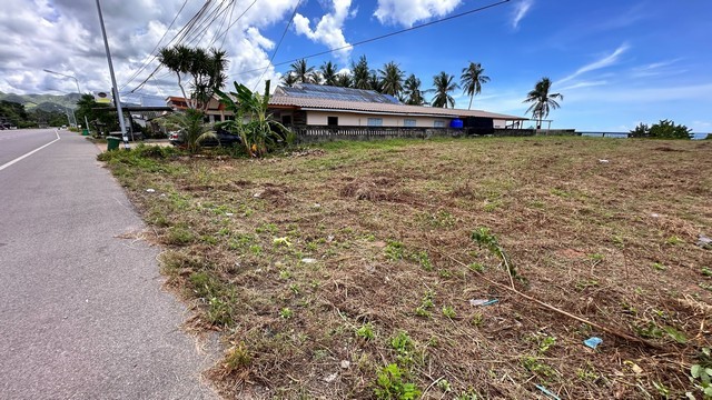 ขายที่ดินติดทะเล หาดสะพลี 119 ตร.วา และ 145 ตร.วา  ราคา 5.9ลบ. และ 7.2 ลบ. ขายรวม 2 แปลง 13 ล้านบาท 264 ตร.วา เช่า 100,000 บาท วางประกัน 3 เดือน ที่ดินริมหาดส่วนตัว ที่ดินติดทะเลหาดสะพลี ถัดไปคือหาดทุ่งวัวแล่น ทะเลสวยน้ำใสสีครามทรายขาว ทิวทัศน์สดชื่นชุ่มฉ่ำเย็นสบาย สวย โดดเด่น สง่า ที่ดินหายาก เหลือไม่กี่แปลงแล้วในแถบนั้น ตรงอ่าวนี้ สโลแกนคือ หาดสวย น้ำใส หนึ่งในสยาม ได้รับการรั�