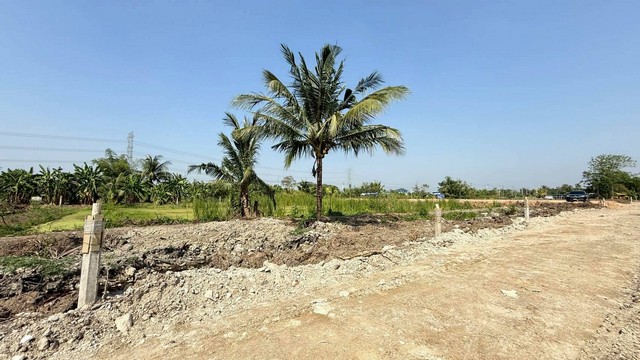 ZT905  ขายด่วนที่ดิน  200  ตร.วา บึงขวาง 3  แยก 18  ใกล้โรงเรียนเตรียมอุดมศึกษาพัฒนาการสุวรรณภูมิ   เขตมีนบุรีที่ตั้ง ซ.บึงขวาง 3 แยก 18 ต.แสนแสบ อ. มีนบุรี กทม.พื้นที่ 200  ตร.วา  ถมแล้วบางส่วน  เป็นถนนสาธารณะ  เข้าซอยเพียง 500 เมตร เงียบสงบ  เหมาะปลูกบ้าน หรือเป็นบ้านสวนบรรยากาศดีในกทม. - กว้าง 16.6 เมตร, ลึก 56  เมตร  โดยประมาณสถานที่ใกล้เคียง ติดกับหมู่บ้าน เคซีเนเชอรัลวิลล์- สนามบินสุ