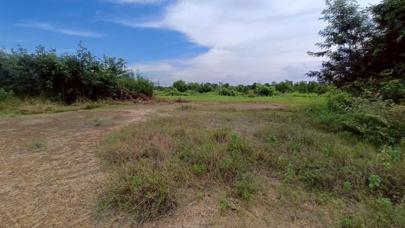  ขาย บ้านเดี่ยว/ทาวน์เฮ้าส์/คอนโด โครงการ  ขาย ที่ดินเปล่า บรบือ มหาสารคาม   ถนน สายอำเภอบรบือ-บ้านแก้งน้อย ตำบล บรบือ อำเภอ บรบือ จังหวัด มหาสารคาม  ราคาโปรโมชั่น  2,244,000     บาท    ลดจาก   2,600,000   บาท ราคาโปรโมชั่นตั้งแต่วันที่  2 มีนาคม - 31 พฤษภาคม 2569  รายละเอียดทรัพย์พื้นที่ใช้สอย  2000.00 ตร.ว. -  บ้านหันไปทางทิศ ตะวันออก  พิกัดทรัพย์ : https://maps.app.goo.gl/8tXnMnw4BNxDFy697  สถานที่ใกล้เคียง   -โรงเรียนบ้านโ