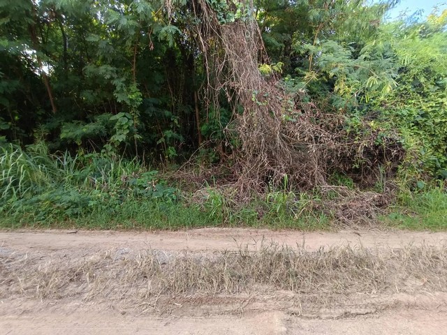   ขายที่ดินเปล่า มวกเหล็ก จังหวัดสระบุรี ราคาโปรโมชั่น ลดพิเศษ  ซอย มอมะเกลือ 1 ตำบล มวกเหล็ก อำเภอ มวกเหล็ก จังหวัด สระบุรี  ราคาโปรโมชั่น  24,671,000   บาท    ลดจาก  27,200,000  บาท ราคาโปรโมชั่นตั้งแต่วันที่  2 มีนาคม - 31 พฤษภาคม 2569  รายละเอียดทรัพย์ -  เนื้อที่ 2720.30 ตร.ว.  พิกัดทรัพย์ :  https://maps.app.goo.gl/5KwCMHD7fmbdZCX38  สถานที่ใกล้เคียง   -  น้ำตกมวกเหล็ก 4.90 กม. -  โรงพยาบาลมวกเหล็ก  4.90 กม. -  อุทยานแห่งชาติน้ำตกเจ