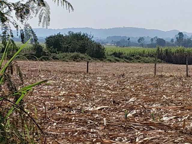 ขายที่ดินปากช่อง ทำเลทอง มีอนาคต ที่ประชุมให้เป็นเมืองหลวงที่ 2 ของประเทศไทยที่สำคัญความเจริญเข้ามาเยอะมากมาย โดยเฉพาะรถไฟฟ้าความเร็วสูง ถนนทางM6 แบ่งขาย 2ไร่- 8ไร่ โฉนด ต.วังไทร อ.ปากช่อง จ.นครราชสีมา โคราชที่ดินราคาพุ่งสูงขึ้นไวเรื่อยๆอย่างต่อเนื่อง รีบซื้อเก็บไว้น่าลงทุนเก็งกำไร ที่สูงปลอดภัยน้ำท่วม++ ไร่ละ  2.9 ล้านบาท พร้อมโอน++ สูงจากระดับน้ำทะเลประมา�