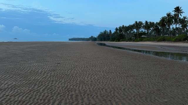 ขายที่ดิน Seaview ติดทะเล บนผาฝั่งแดง และที่ดินใกล้ทะเลห่างไม่มากราคาดีดี มีให้เลือกหลากหลายแปลงสวยๆเนื้อที่ตามที่ต้องการตั้งแต่ 100 วา ขึ้นไป ที่ดินติดทะเลผาฝั่งแดง เนื้อที่ 2-6ไร่ ขายราคาไร่ล่ะ 3.5 ล้านบาทโฉนดครุฑแดง พร้อมโอน ค่าใช้จ่ายในการโอน คนละครึ่ง+++ ไฟฟ้า ประปา เข้าถึง+++ มีทางสาธารณะเข้าถึงที่ดิน การเดินทางสะดวก+++ ห่างจากถนนทางหลวง 300 เมตรที่ตั้ง: หาดฝั่ง