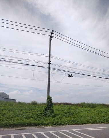 ขายที่สร้างโรงงาน สร้างโกดัง พื้นที่สีม่วง  24  ไร่ ราคาไร่ละ 4 ล้านบาท**สนใจดูที่ดินจริง รบกวนนัดล่วงหน้าอย่างน้อย 1 วันค่ะ** ติดต่อ ภญ.เทเรซา สิทธิพล (คุณมด) โทร (ไลน์). 081-3305497, โทร.(ไลน์) 061-5765520 เรียนจบธุรกิจที่ดินจาก ม.ธรรมศาสตร์ รู้กฎหมายที่ดินเป็นอย่างดี รับเหมาถมดิน รับจำนอง ขายฝากช่องทางการติดตาม...Facebook Fanpage , TikTok , Youtube :  คนจริงใจ ขายบ้านและที่ดิน#ที่สีม่วง #ที่ระยอง #ที่สร้�