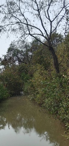          ขายบ้านปูนสองชั้น มือสอง  ด้านหน้าแปลงที่ดินติดซอยถนนสาธารณะ มีหน้ากว้างติดถนน 28 เมตรภายในมี 3 ห้องนอน 2 ห้องน้ำ 1 ห้องโถง และ 1 ห้องครัว                            ขนาดที่ดิน 200 ตรว.เศษ ถมแล้วบางส่วน ด้านข้างติดคลองประมาณ 6 เมตรมุมมองจากระเบียงชั้นบนของหลังบ้าน เห็นวิวแม่น้ำบางปะกง                      มีไฟฟ้า ประปาพร้อมใช้  มีเพื่อนบ้าน  ไม่เปลี่ยวสถานที่ใกล้เคียงบ้านหลังนี้       โครงก�