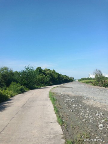                  ขายที่ดิน 25 ไร่ ที่ดินมีรูปร่างสี่เหลี่ยมผืนผ้า มีหน้ากว้างติดถนนซอยสาธารณะ ประมาณ 240 เมตร ถนนซอยนี้เทพื้นผิวด้วยคอนกรีต กว้างประมาณ 8 เมตร เป็นซอยที่แยกเข้ามาจาก ถนน 3005 (บ้านโพธิ์-หัวเนิน) ระยะห่างจากที่ดินแปลงนี้ถึงปากซอยเพียง 150 เมตร ซอยนี้สามารถออกสู่แม่น้ำบางปะกงได้                   ถนน 3005 นี้กำลังขยายเป็น 4 ช่องจราจร เพื่อเชื่อมต่อระหว่างถนน 314 (สิริโสธร) มา�