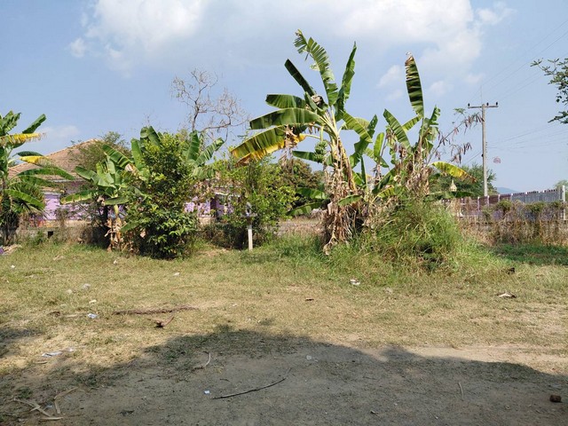 คุยง่ายขายคล่องให้ทางเลือกผ่อนซื้อ ที่ปากช่อง 2ไร่- 8ไร่ โฉนด ต.วังไทร อ.ปากช่อง จ.นครราชสีมา ไร่ละ  2.9 ลบ.สูงจากระดับน้ำทะเลมาก น้ำไฟพร้อม