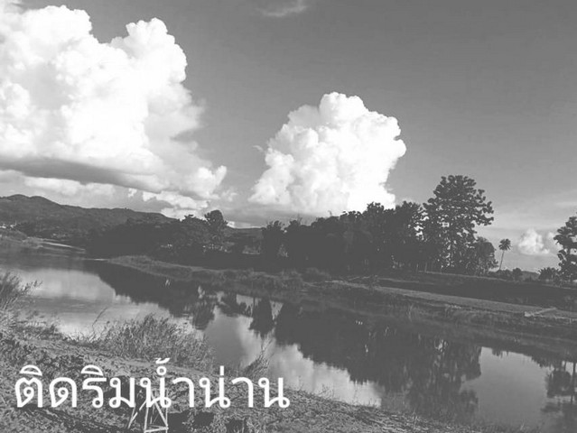 ขายที่ดินติดแม่น้ำน่าน  1 ไร่ 5 ตร.วา มีที่งอก 3งาน ทำประโยชน์ได้ตาม ป.วิ.พ. มาตรา 1308 เช่ารวม  3000 บาท/ปี ขาย 800,000 บาท ค่าใช้จ่ายวันโอนครึ่งครึ่ง ซื้อผ่อนเจ้าของได้มีพื้นที่ส่วนงอก เลขที่โฉนด 8971 ต.ศรีภูมิ อ.ท่าวังผา จ.น่านวิวภูเขาล้อมรอบติดแม่น้ำบรรยากาศดีธรรมชาติสมบูรณ์สุดๆน้ำใสไกลรินชุ่มฉ่ำเย็นสบายตลอดปี ติดทางสาธารณประโยชน์รถยนต์ขับเข้าถึงที่ดิน ปลูกสวนพริก Sup