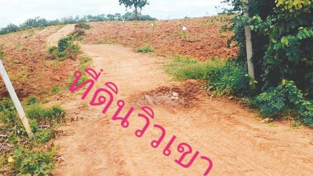 คุยง่ายขายคล่องให้ทางเลือก ธรรมชาติเนินเขา ที่ดินโฉนดแบ่งขาย หล่มเก่า เพชรบูรณ์ ใกล้ภูทับเบิก โทร 0968821857