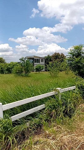 #ขายที่ดินเจาะบ่อบาดาลแล้วสระบุรี#ขายที่ดินที่มีน้ำบาดาลใช้#ขายที่ดินที่มีน้ำปะปาหมู่บ้านใช้ขายที่ดินเพื่อการเกษตร สระบุรีขายที่ดินพร้อมอยู่อาศัย สระบุรีขายที่ดินทำสวนทำไร่ สระบุรีขายที่ดินใกล้ถนนหลัก สระบุรีขายที่ดินทำโกดังโรงงาน สระบุรีขายที่ดินใกล้ชุมชน สระบุรีขายที่ดินน้ำไฟพร้อม สระบุรีขายที่ดินทำธุรกิจได้ สระบุรีขายที่ดินทำเลดีลงทุนไ�