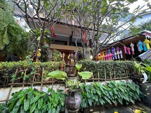 #โซนพระสิงห์ ขายโรงแรม 45 ล้าน #ในเขตเมืองเก่า สงบร่มรื่น #ทำเลทอง #ใกล้วัดพระสิงค์ #ใกล้ถนนคนเดิน #มีใบอนุญาตประกอบกิจการ #ลูกค้าเต็มยาว มาบริหารได้เลย รีวิวดีคะแนน 9โรงแรม 3 ชั้น10 ห้อง มีห้องหลายขนาดDeluxeGrand DeluxeDeluxe TwinSuperiorFamily Roomมีที่จอดรถกิจการดีมากๆ รายได้ 5-6 แสน (ยังไม่หักค่าใช้จ่าย) สามารถทำต่อได้เลย ทำระบบ และทำการตลาดไว้ดีอยู่แล้วค่ะ รีวิว ดี คะแนน 9 เป็นโรงแรมที่ลูก�