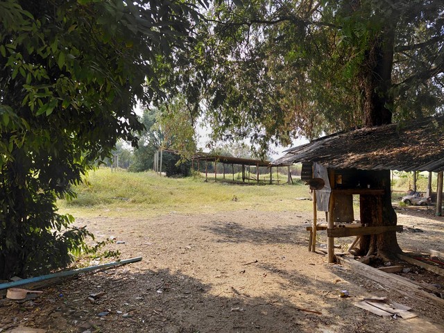 ขายที่ดินปากช่อง ทำเลทอง มีอนาคต ที่ประชุมให้เป็นเมืองหลวงที่ 2 ของประเทศไทยที่สำคัญความเจริญเข้ามาเยอะมากมาย โดยเฉพาะรถไฟฟ้าความเร็วสูง ถนนทางM6 แบ่งขาย 2ไร่- 8ไร่ โฉนด ต.วังไทร อ.ปากช่อง จ.นครราชสีมา โคราชที่ดินราคาพุ่งสูงขึ้นไวเรื่อยๆอย่างต่อเนื่อง รีบซื้อเก็บไว้น่าลงทุนเก็งกำไร ที่สูงปลอดภัยน้ำท่วม++ ไร่ละ  2.9 ล้านบาท พร้อมโอน++ สูงจากระดับน้ำทะเลประมา�