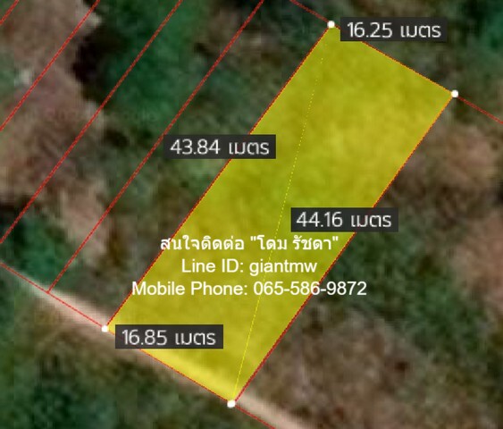 DSL-340สนใจติดต่อ: โดม รัชดา (Exclusive Contract)โทร: 065-586-9872ไลน์ไอดี: 0655869872 หรือ giantmw หรือ @yem0202nFacebook: https://bit.ly/3vdegO8Fanpage: https://bit.ly/488TrlD.ขายที่ดินเปล่า “เกาะพีพี จ.กระบี่” เนื้อที่ 168 ตร.ว. (น.ส.4 จ), 4 ล้านบาท .รายละเอียดทรัพย์: 1. ที่ดินเอกสารสิทธิ์เป็นโฉนด (น.ส.4 จ) เนื้อที่ 168 ตร.ว. อยู่ในผังเมืองประเภทอนุรักษ์สภาพแวดล้อมเพื่อการท่องเที่ยว (ที่ดินหมายเลข 5.12) และที่ดินติดทางสาธารณะประโยชน์กว้าง 6 ม.2. ที่ดินทรงสี่เหล