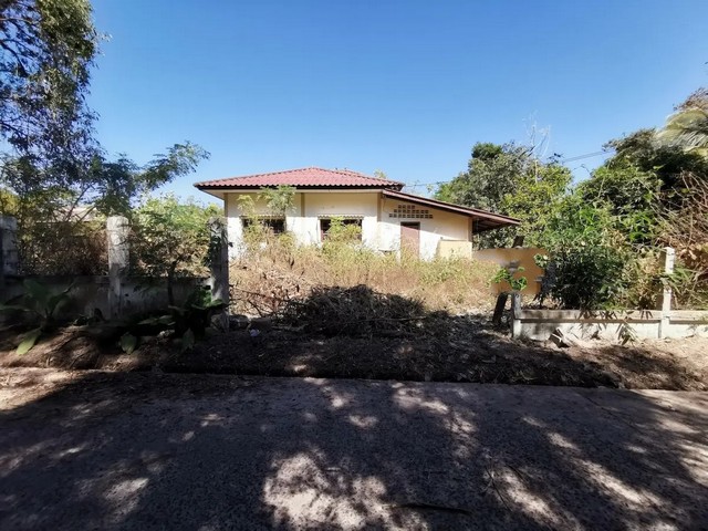   ขาย บ้านเดี่ยว/ทาวน์เฮ้าส์/คอนโด โครงการ ขามใหญ่ อุบลราชธานีถนน บ้านดงเก่า-บ้านขามใหญ่(5193) ตำบล ขามใหญ่ อำเภอ เมืองอุบลราชธานี จังหวัด อุบลราชธานี  ราคาโปรโมชั่น  1,541,000   บาท    ลดจาก 2,788,000  บาท ราคาโปรโมชั่นตั้งแต่วันที่  2 มีนาคม - 31 พฤษภาคม 2569  รายละเอียดทรัพย์  -  เนื้อที่ 444.00 ตร.ว. พื้นที่ใช้สอย 186.75 ตร.ม.  -  บ้านหันไปทางทิศ ใต้  พิกัดทรัพย์ : https://maps.app.goo.gl/cuiz6HiKpXNhjy5B8  สถานที่ใกล้เคียง   -  โ�