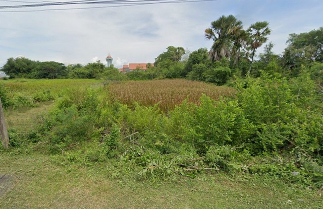 ที่ดินยกแปลง 1 งาน 33.0 ตารางวา ครุฑแดง อำเภอ ระโนดจังหวัด สงขลา 0.6 ลบ.แปลงที่มีถนนเข้าที่ดินที่ดินรางวัดเรียบร้อยแล้วมีหมุดเขตชัดเจน** เจ้าของขายเอง **..........................................................จุดเด่น:ทำเลดี เงียบสงบ ใกล้สำนักงานเทศบาลตำบลระโนดใกล้ โรงพยาบาลระโนด เดินทาง 5 นาทีเนื้อที่เหมาะสำหรับสร้างบ้านอยู่อาศัย..........................................................รายละเอียด:ขนาดที่ดิน 1 งาน 33.0 ตารางวาซอยถนนรา�