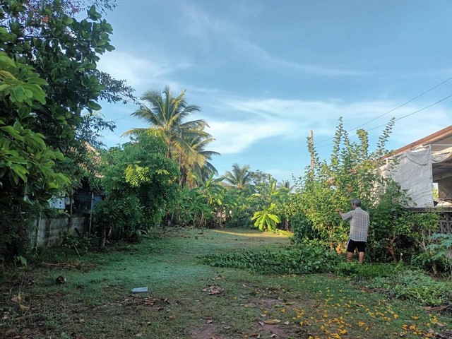  ขายที่ดินสวย 1 ไร่ 1 งาน 70 ตร.ว. @สูงเนิน จ.นครราชสีมาหมาะสร้างบ้าน รีสอร์ต โกดัง หรือทำเกษตร บรรยากาศดีมาก!พิกัด: VRV8+759 ต.สูงเนิน อ.สูงเนิน จ.นครราชสีมาบรรยากาศร่มรื่น ลมดี เงียบสงบ น้ำไฟเข้าถึงเข้า-ออกสะดวก ใกล้ถนนมิตรภาพสถานที่ใกล้เคียง:– นิคมอุตสาหกรรมสุรนารี– ตลาดสูงเนิน / โลตัส / 7-Eleven– รพ.สูงเนิน / สถานีรถไฟ– เดินทางสะดวกไปโคราช – กรุงเทพฯราคาขายเพียง 5.98 ล้านบาท ส�