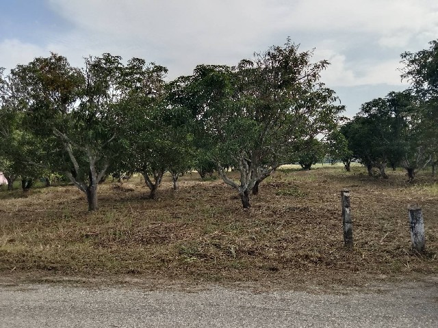 ขายที่ดินเปล่า ราคาถูก เนื้อที่ 2 ไร่ 5 ตารางวา ต. บึงพระ อ. เมืองพิษณ จังหวัดพิษณุโลกหน้ากว้าง 46 เมตร ลึก 74 เมตร ใกล้ชุมชนราคาขาย 3.2 ล้านบาทสถานที่ใกล้เคียง1. ท่าอากาศยานพิษณุโลก2. แม็คโคร พิษณุโลก3. ฟินลี่แลนด์ พลาซ่า พิษณุโลก4. พระบรมราชานุสาวรีย์สมเด็จพระนเรศวรมหาราช5. PTT Station ปตท.วังพิกุลที่ตั้ง ตำบล บึงพระ อำเภอเมืองพิษณุโลก พิษณุโลก--------------------------------------------------------สนใจชมบ้าน