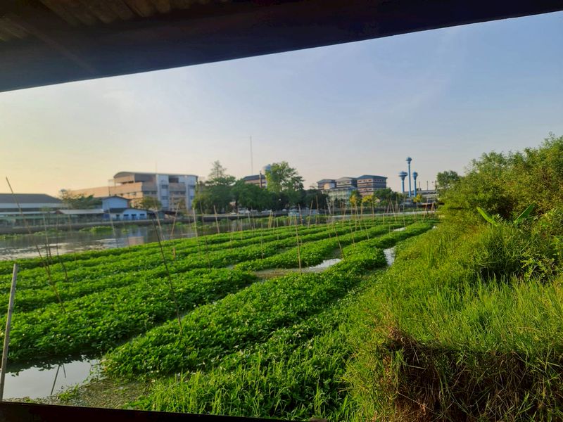 ขายที่ดินเปล่า ตืดแม่น้ำท่าจีน ตรงสุดหมู่บ้านกฤษดานคร 27 มารีน่า หอมเกร็ด สามพราน นครปฐม ราคาดีทำเลดีมาก ติดต่อผึ้งรติ 0619419639ที่ตั้ง : ตำบลหอมเกร็ด อำเภอสามพราน นครปฐม 73110พิกัด : https://www.google.com/maps?q=13.77284683,100.23786410ขนาดเนื้อที่ : 2ไร่ รายละเอียดที่ดินติดแม่น้ำท่าจีน หน้ากว้างประมาณ 80 เมตร วิวแม่น้ำสวย บรรยากาศเงียบสงบเดินทางสะดวก ใกล้ถนนหลักและโซนพุทธมณฑล – สามพรานเหมาะสำหรับ-