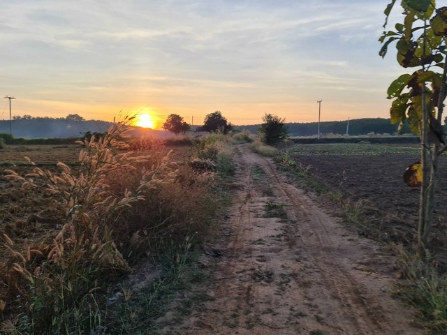 ขายที่ดินติดแม่น้ำโขง  เลขที่โฉนด 17851 เนื้อที่  18-2-70 ไร่ ต.กุดบง อ.โพนพิสัย จ.หนองคาย ด้านหน้าติดถนนโยธาธิการ หนองคาย ด้านหลังติดแม่น้ำโขง  ซื้อทรัพย์โปรพิเศษผ่อนโดยตรงกับเจ้าของได้ ทรัพย์ดีราคาคุยกันได้แถมวางดาวน์ผ่อนต่อได้ ขายยกแปลงไร่ละ 800,000 บาท  แบ่งขายไร่ละ 1 ล้านบาท ใกล้สะพานมิตรภาพไทย - ลาว  อยู่ในแหล่งชุมชน ใกล้โรงเรียน ใกล้โรงพยาบาล ใกล้วัดสำคัญทางพุท