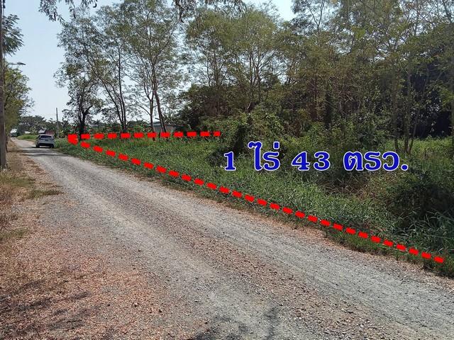 ขายที่ดิน 1 ไร่ 43 ตรว. คลองสิบสอง หนองจอก ใกล้สโมสรหนองจอก ซิตี้ เหมาะทำบ้านสวน ฟาร์มเกษตร*** ราคาขาย 2,100,000 บาทติดต่อ::  ชยา โทร/ID Line:: 0942823961   Link Line:: https://line.me/ti/p/3xFA1An8Kcรหัส#  KE034ที่ดินคลองสิบสอง หนองจอก ใกล้สโมสรหนองจอก ซิตี้ เหมาะทำบ้านสวน ฟาร์มเกษตรเนื้อที่  1 ไร่ 43 ตรว.  หน้ากว้างประมาณ 53 เมตร ลึก 35 เมตรที่ดินยังไม่ถม ไม่มีบ่อ ติดถนนสาธารณะ (ถนนหินคลุก)ระยะทางจากปากซอยประมาณ 470 เมตรบรร�