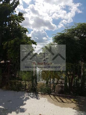 ให้เช่าที่ดิน 1 ไร่ ติดถนนใหญ่ ย่านพุทธมณฑลสาย1 สายใต้ใหม่ ตลิ่งชัน เหมาะกับหลายธุรกิจ ( เช่าระยะยาวได้ ด้านหลังติดคลอง )ราคาเช่า 30,000 บาท / เดือน ( สัญญาขั้นต่ำ 3 ปี เช่าระยะยาวได้ )ที่ตั้ง ถนนพุทธมณฑลสาย1 แขวงฉิมพลี เขตตลิ่งชัน กรุงเทพมหานคร 10170 ติดต่อ : คุณภัสพงณ์ 0634098164Line : binkem22https://www.facebook.com/profile.php?id=61581484955548เนื้อที่ 1 ไร่ หน้ากว้างประมาณ 15 เมตร ความลึกประมาณ 110 เมตรด้านหลังติดคลองใก�