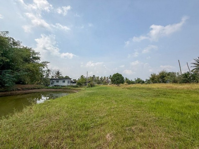 TEL:088-559 5199 คุณเอLine:https://line.me/ti/p/C0eGe0whLXขายที่ดิน ศรีราชา ติดลำธารธรรมชาติทำเลคุณภาพ บ้านโค้งดารา - หนองขาม ศรีราชาราคาปรับลดลง เหมาะทั้งอยู่อาศัยและลงทุนราคานี้หาไม่ได้ง่ายในโซนนี้ราคาพิเศษ ไร่ละ 2.2 ล้านบาท (จากเดิม 2.5 ล้านบาท)ราคาโดยรวม 10,917,500 บาทข้อมูลที่ดินขนาด 4-3-85 ไร่ พื้นที่กว้าง จัดสรรง่ายพิกัด บ้านโค้งดารา ต.หนองขาม อ.ศรีราชา จ.ชลบุรีจุดเด่น ที่ดินติดลำธารสาธารณะ น้ำ