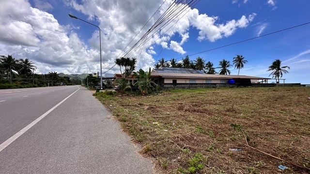 ขายที่ดินติดทะเล หาดสะพลี 119 ตร.วา และ 145 ตร.วา  ราคา 5.9ลบ. และ 7.2 ลบ. ขายรวม 2 แปลง 13 ล้านบาท 264 ตร.วา เช่า 100,000 บาท วางประกัน 3 เดือน ที่ดินริมหาดส่วนตัว ที่ดินติดทะเลหาดสะพลี ถัดไปคือหาดทุ่งวัวแล่น ทะเลสวยน้ำใสสีครามทรายขาว ทิวทัศน์สดชื่นชุ่มฉ่ำเย็นสบาย สวย โดดเด่น สง่า ที่ดินหายาก เหลือไม่กี่แปลงแล้วในแถบนั้น ตรงอ่าวนี้ สโลแกนคือ หาดสวย น้ำใส หนึ่งในสยาม ได้รับการรั�