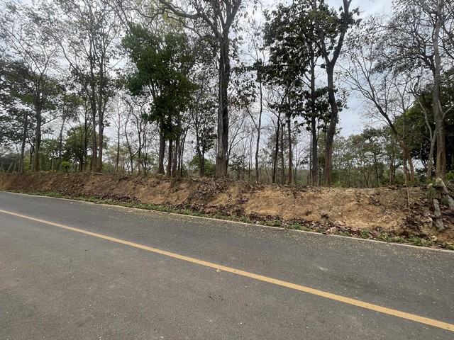 ที่ดินบนเนินเขา ด้านหลังมีลำคลอง และแหล่งน้ำธรรมชาติ ใกล้สนามบินน่าน เขต อ.เมืองน่าน บ้านผาสิงห์  ห่างสนามบิน 6 กม. ที่ดินทรงสี่เหลี่ยมผืนผ้าติดถนนหลวงชนบท ทำเลดี เงียบสงบน้ำไฟ พร้อม ที่ดินพัฒนาแล้ว น้ำไม่ท่วม 100%  ในพื้นที่มีต้นไม้ยืนต้น สวยงามร่มรื่น ห่างจากตัวเมืองวัดภูมินทร์เพียง 3.9 กม.เดินทางสะดวก ได้หลายเส้นทาง เหมาะทำรีสอร์ท ที่พัก คาเฟ่ หรือบ้านสว�