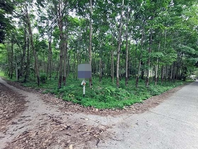  รหัสทรัพย์ (Code ID) :  PTT-26-P00344  ราคา  6,782,000 บาท (ราคาต่อรองได้) ▸ เนื้อที่  4,557 ตารางวา (11 ไร่ / 1 งาน / 57 ตร.ว) พื้นที่ใช้สอย - ตารางเมตร   ▸ - ห้องนอน - ห้องน้ำ    ▸ 1 ที่จอดรถ   ที่ดินว่างเปล่าหันไปทางทิศ   พิกัดทรัพย์ :  https://maps.app.goo.gl/Uk91sXZ8E3vJL8QT7  สถานที่ใกล้เคียง ▸ใกล้ท่าเรือบ้านคลองโตบ ▸ใกล้ชุมชนเมืองเก่าลันตา ▸ใกล้ลันตาคลองนิน ▸ใกล้หาดโจรสลัด  สอบถามเพิ่มเติม / นัดชม โทร. 097-419-5982(พลอย) โทร. 096-932-4624(ออมสิน) Lin