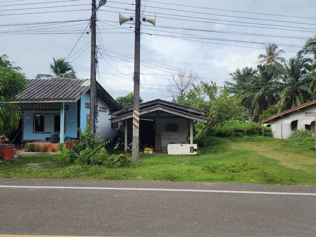  รหัสทรัพย์ (Code ID) :  PTT-26-B12514  ราคา  580,000 บาท (ราคาต่อรองได้) ▸ เนื้อที่  86 ตารางวา  พื้นที่ใช้สอย 144 ตารางเมตร   ▸ - ห้องนอน - ห้องน้ำ    ▸ 1 ที่จอดรถ   บ้านเดี่ยวหันไปทางทิศ   พิกัดทรัพย์ :  https://maps.app.goo.gl/G6Z1xnjivW9Z7ve57  สถานที่ใกล้เคียง ▸ใกล้โรงเรียนบ้านโละใหญ่ ▸ใกล้โรงพยาบาลเกาะลันตา ▸ใกล้โรงพยบาลส่งเสริมสุขภาพตำบลบ้านคลองโตนด ▸ใกล้ไปรษณีย์อนุญาต สาขาเกาะลันตา 101  สอบถามเพิ่มเติม / นัดชม โทร. 09