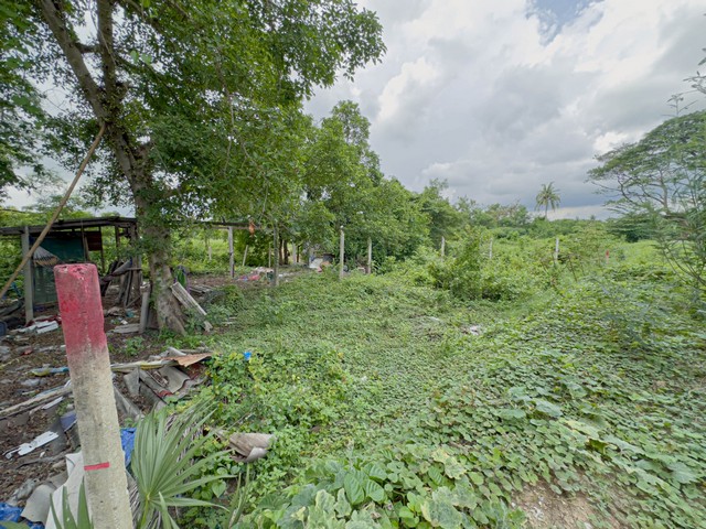  ที่ดินปากเกร็ด  85 ตร.วา ทำเลดี ราคาต่ำกว่าตลาด ใกล้รถไฟฟ้าสีชมพูใกล้วัดป่าเลไลย์ ปากเกร็ด นนทบุรีเหมาะสร้างบ้าน / เพื่อการลงทุน ทำเลศักยภาพ เดินทางสะดวก ที่ตั้ง: WFHQ+V47 ตำบลบางตะไนย์ อำเภอปากเกร็ด นนทบุรี รายละเอียดที่ดินขนาด 85 ตารางวาที่ดินยังไม่ถมหน้ากว้าง 17 ลึก 20 เมตรน้ำ-ไฟเข้าถึงเรียบร้อยมีถนนสาธารณะผ่านหน้าแปลง จุดเด่นของที่ดินแปลงนี้ใกล้ วัดป่าเลไลย�