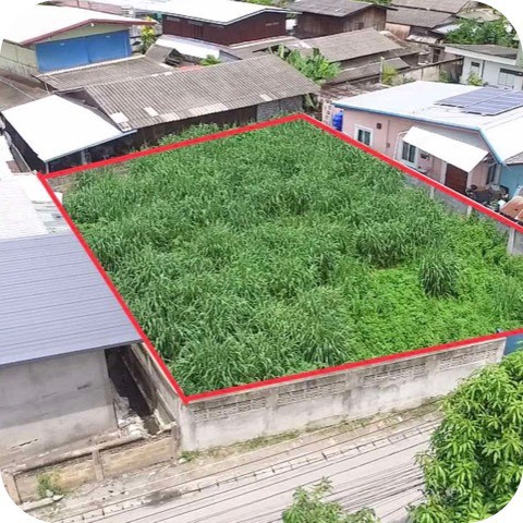 #ขายที่ดิน  86  ตรว  ข่วงสันกำแพงต. สันกำแพง อ. สันกำแพงจ. เชียงใหม่อยู่ในชุมชน ใกล้ตลาดสดใกล้ถนนคนเดิน สันกำแพงขาย  1.6  ล้าน  โอนคนครึ่งสอบถามโทร / line  0828952449. กิต#ขายที่ดิน  86  ตรว  ข่วงสันกำแพงต. สันกำแพง อ. สันกำแพงจ. เชียงใหม่อยู่ในชุมชน ใกล้ตลาดสดใกล้ถนนคนเดิน สันกำแพงขาย  1.6  ล้าน  โอนคนครึ่งสอบถามโทร / line  0828952449. กิต