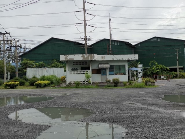  รหัสทรัพย์ (Code ID) :  PTT-26-B12253  ราคา  380,150,000 บาท (ราคาต่อรองได้) ▸ เนื้อที่  26,953 ตารางวา (67 ไร่ / 1 งาน / 53 ตร.ว) พื้นที่ใช้สอย 31,714 ตารางเมตร   ▸ - ห้องนอน - ห้องน้ำ    ▸ 1 ที่จอดรถ   โรงงานหันไปทางทิศ   พิกัดทรัพย์ :  https://maps.app.goo.gl/B3fK9Vc9eGVQDrUQ6  สถานที่ใกล้เคียง ▸ใกล้โรงพยาบาลบางปะกง ▸ใกล้การไฟฟ้าส่วนภูมิภาคบางปะกง ▸ใกล้สวนน้ำเกาะแก้วบางปะกง-สามแยกนอก ▸ใกล้สำนักงานเทศบาลตำบลบางปะกงพรหมเทพรังสรรค์  สอ�