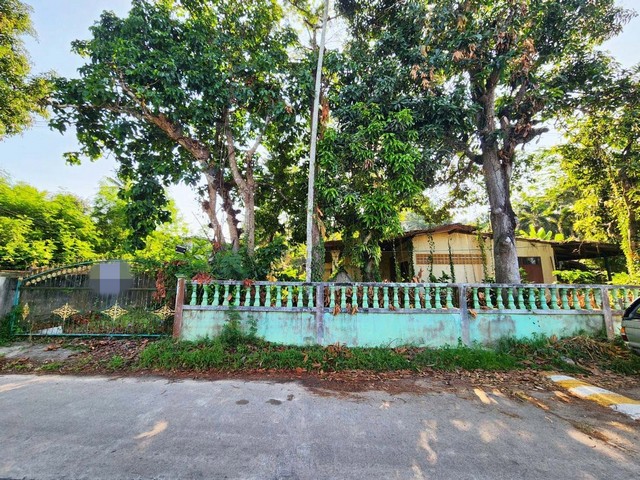  รหัสทรัพย์ (Code ID) :  PTT-26-P00773  ราคา  960,000 บาท (ราคาต่อรองได้) ▸ เนื้อที่  165.50 ตารางวา (1 งาน / 65.50 ตร.ว) พื้นที่ใช้สอย 213.65 ตารางเมตร   ▸ 2 ห้องนอน 2 ห้องน้ำ    ▸ 1 ที่จอดรถ   บ้านเดี่ยวหันไปทางทิศ   พิกัดทรัพย์ :  https://maps.app.goo.gl/BRrQG14bzecmikM99  สถานที่ใกล้เคียง ▸ใกล้โรงพยาบาลเหนือคลอง ▸ใกล้ตลาดสดเทศบาลอำเภอเหนือคลอง ▸ใกล้องค์การบริหารส่วนตำบลเหนือคลอง ▸ใกล้ที่ว่าการอำเภอเหนือคลอง  สอบถามเพิ่มเติม / นัด�