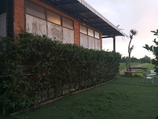 ให้เช่าบ้าน สถานที่ถ่ายทำ ทุกประเภท เช่น หนัง ละคร MV โฆษณา หนังสั้น คอนเท้นท์ และงานทุกประเภท  บ้านไม้ สวยตกแต่งแล้ว บ้านไม้สวยวิวทุ่งนา ย่านไทรน้อยบรรยากาศดีธรราชาติอากาศปลอดโปร่ง เย็นสบาย วิวดี ฟินสุดสุด อยู่แถวไทรน้อย สามารถตกลงและพูดคุยได้ เคยเป็นสถานที่ถ่ายทำหนัง ละคร และอื่นๆ มาก่อน สามารถนำเฟอร์หรืออุปกรณ์ตกแต่งเข้ามาได้สนใจ โทร/line :  0855608433                 096882