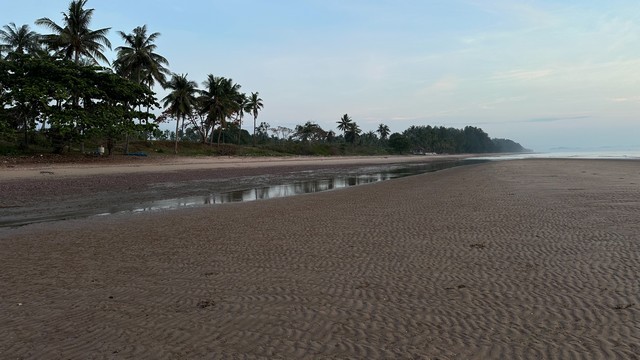 ขายที่ดิน Seaview ติดทะเล บนผาฝั่งแดง และที่ดินใกล้ทะเลห่างไม่มากราคาดีดี มีให้เลือกหลากหลายแปลงสวยๆเนื้อที่ตามที่ต้องการตั้งแต่ 100 วา ขึ้นไป ที่ดินติดทะเลผาฝั่งแดง เนื้อที่ 2-6ไร่ ขายราคาไร่ล่ะ 3.5 ล้านบาทโฉนดครุฑแดง พร้อมโอน ค่าใช้จ่ายในการโอน คนละครึ่ง+++ ไฟฟ้า ประปา เข้าถึง+++ มีทางสาธารณะเข้าถึงที่ดิน การเดินทางสะดวก+++ ห่างจากถนนทางหลวง 300 เมตรที่ตั้ง: หาดฝั่ง