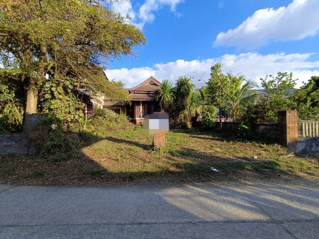  รหัสทรัพย์ (Code ID) :  PTT-26-P00093  ราคา  1,036,000 บาท (ราคาต่อรองได้) ▸ เนื้อที่ 81.80 ตารางวา พื้นที่ใช้สอย 204.10 ตารางเมตร   ▸ 2 ห้องนอน 2 ห้องน้ำ    ▸ 1 ที่จอดรถ   บ้านเดี่ยวหันไปทางทิศ   พิกัดทรัพย์ :  https://maps.app.goo.gl/mF59wjMi7motvsHn6  สถานที่ใกล้เคียง ▸ใกล้ตลาดสดเทศบาลตำบลเทิง ▸ใกล้โรงเรียนบ้านทุ่งโห้ง ▸ใกล้วัดพระธาตุจอมหงส์ ▸ใกล้สำนักงานขนส่งจังหวัดเชียงราย  สอบถามเพิ่มเติม / นัดชม โทร. 097-419-5982(พลอย) โทร. 096-932-4624(�