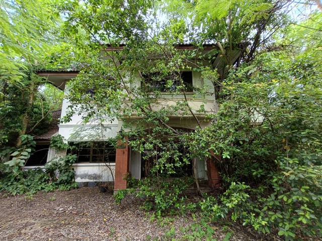  รหัสทรัพย์ (Code ID) :  PTT-26-P00087  ราคา  5,294,000 บาท (ราคาต่อรองได้) ▸ เนื้อที่ 494 ตารางวา (1 ไร่ / 94 ตร.ว) พื้นที่ใช้สอย 727.50 ตารางเมตร   ▸ - ห้องนอน - ห้องน้ำ    ▸ 1 ที่จอดรถ   บ้านเดี่ยวหันไปทางทิศ   พิกัดทรัพย์ :  https://maps.app.goo.gl/xKSmWptsC9jud3dFA  สถานที่ใกล้เคียง ▸ใกล้แม็คโคร เชียงราย ▸ใกล้บิ๊กซี ซูเปอร์เซ็นเตอร์ เชียงราย 2 (สนามบิน) ▸ใกล้ตลาดสดบ้านดู่ ▸ใกล้โรงพยาบาลกรุงเทพ เชียงราย  สอบถามเพิ่มเติม / นัดชม โทร. 097