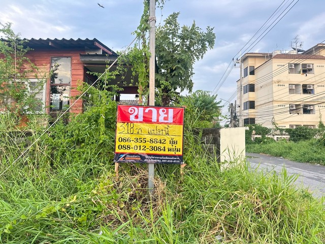 ZT909 ขายที่ดิน ร่มเกล้า 25/6 ซอยร่มสุขเนื้อที่ 318 ตารางวาหน้ากว้าง 26 เมตร ลึก 48 เมตรที่ตั้ง : ซอย ร่มเกล้า 25/6 ตำบลคลองประเวศบุรีรมย์ฝั่งเหนืออำเภอแสนแสบ จังหวัดกรุงเทพมหานครการเดินทาง-  เชื่อมต่อถนนร่มเกล้า, ถนนลาดกระบัง, ถนนสายมอเตอร์เวย์ -  กรุงเทพ - ชลบุรี  และถนนเจ้าคุณทหารลาดกระบังจุดเด่น/สถานที่ใกล้เคียง-  โรงเรียนเทพศิรินทร์ร่มเกล้า -  สนามบินสุวรรณภูมิ  -  วัดบำ