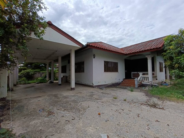  รหัสทรัพย์ (Code ID) :  PTT-26-B12622  ราคา  1,076,000 บาท (ราคาต่อรองได้) ▸ เนื้อที่ 125.90 ตารางวา (1 งาน / 25.90 ตร.ว)  พื้นที่ใช้สอย 288.50 ตารางเมตร   ▸ - ห้องนอน - ห้องน้ำ    ▸ 1 ที่จอดรถ   บ้านเดี่ยวหันไปทางทิศ   พิกัดทรัพย์ :  https://maps.app.goo.gl/Tc7no31Ka1hLeZvK9  สถานที่ใกล้เคียง ▸ใกล้โลตัส โกเฟรช ซูเปอร์มาร์เก็ต เทิง ▸ใกล้ตลาดสดเทศบาลตำบลเทิง ▸ใกล้วัดพระธาตุจอมจ้อ ▸ใกล้โรงพยาบาลเทิง  สอบถามเพิ่มเติม / นัดชม โทร. 097-419-5982(พลอย) โ�