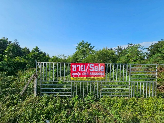 ขายที่เปล่าราชบุรีติดถนนทางหลวงชนบทขายที่ดินใกล้หลวงพ่อวิริยังค์ต.หินกอง อ.เมือง จ.ราชบุรีเนื้อที่ 10 ไร่ 1 งาน 50 ตร.วขายไร่ละ 490,000 บาทติดถนนหน้ากว้าง70ม.ลึก230ม.ใกล้ศูนย์การเรียนรู้เศรษฐกิจพอเพียงใกล้ศูนย์ปฏิบัติธรรมหลวงพ่อวิริยังค์สอบถามนัดชมTel : 062-5566954 (คุณปุ้ย) | Line ID : 0616649897