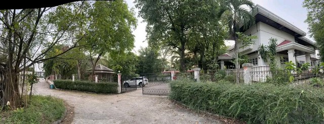 DSL-208สนใจติดต่อ: โดม รัชดา (Exclusive Contract)โทร: 065-586-9872ไลน์ไอดี: 0655869872 หรือ giantmw หรือ @yem0202nF/B: https://bit.ly/3vdegO8Fanpage: https://bit.ly/488TrlDWebsite: www.lifewave.com.ขายบ้าน พร้อมที่ดิน (5 น. 5 น้ำ) ติดถนนเฉลิมพระเกียรติ ร.9 เนื้อที่ 1-2-83 ไร่ (683 ตร.ว.), ราคา 54 ล้านบาท.รายละเอียดทรัพย์: ที่ดินเป็นโฉนด (น.ส.4 จ) ด้านข้างติดถนนเฉลิมพระเกียรติ ร.9 ประมาณ 29 ม. ด้านหน้าบ้านติดถนน 110 เมตร (ถนนกว้าง 6.5 เมตร) ลึก 30 เมตร โดยบ้าน ค.ส.ล. 2 ชั้น 5 ห้องนอน 5 ห้องน้ำ และม