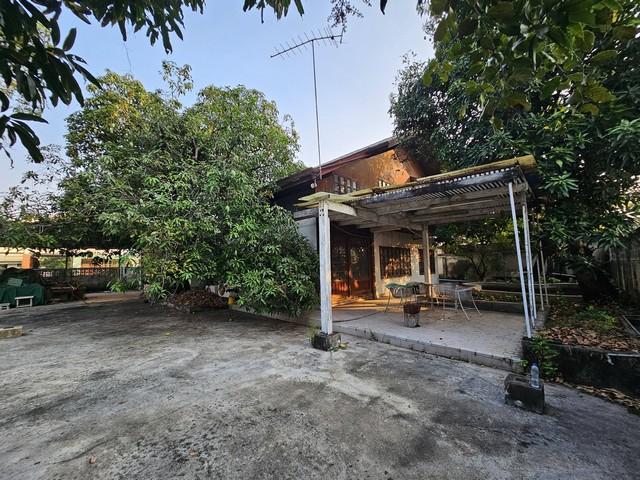 ให้เช่าที่ดิน202ตร.วแปลงมุมวชิรธรรมสาธิต23สุขุมวิท101-1 มีที่จอดรถติดถนน2ด้านใกล้ร้านส้มตำคุณกัญจ์ราคาเช่า 70,000 - 80,000 บาท / เดือนที่ตั้ง ถนนสุขุมวิท 101/1 ซอยวชิรธรรมสาธิต 23 แขวงบางจาก เขตพระโขนง กรุงเทพมหานครติดต่อ : คุณภัสพงณ์ 0634098164Line : binkem22https://www.facebook.com/profile.php?id=61581484955548เนื้อที่ 202 ตารางวาบ้านทุบรื้อ รีโนเวทได้ตามตกลง มีสวนด้านหน้า ต้นมะม่วงใหญ่ ต้นไม้อื่นซอยทะลุระหว่าง สุขุมวิท 101/