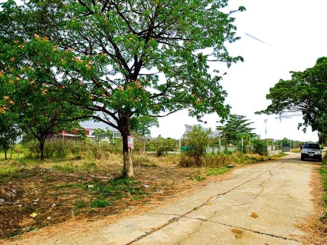 ขายที่ดินเปล่า 407 ตรว. ในหมู่บ้าน K C Garden Home ย่านมีนบุรี ซอยนิมิตรใหม่ 40 อากาศสิ่งแวดล้อมดี ภายในโครงการมีสาธารณูปโภคครบครันติดต่อ:: ชยา โทร/ID Line:: 0942823961Link Line:: https://line.me/ti/p/3xFA1An8Kcรหัส# T26-295ที่ดินเปล่า ในหมู่บ้าน K C Garden Home ย่านมีนบุรี ซอยนิมิตรใหม่ 40เนื้อที่ 1 ไร่ 7 ตารางวา (407 ตรว.)หน้ากว้าง 30 x 50 เมตรอากาศดี สิ่งแวดล้อมดี เข้าเมืองสะดวกภายในโครงการมีสาธารณูปโภคครบครัน มี รปภ. 24 ชม.เข้า-ออกด้ว